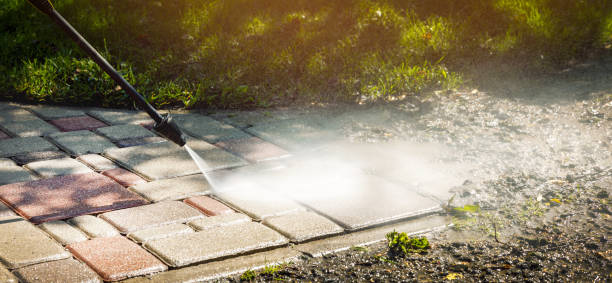 Best Fence Cleaning  in Buffalo Grove, IL